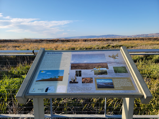 Park «Alviso Marina County Park», reviews and photos, 1195 Hope St, Alviso, CA 95002, USA