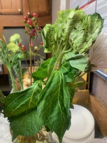 Gift Shop «Edible Arrangements - The Shoppes at Buford», reviews and photos, 3200 Woodward Crossing Blvd b104, Buford, GA 30519, USA