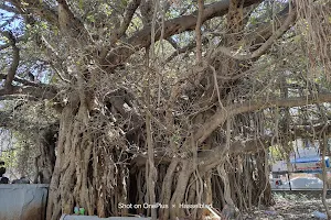 Big Banyan Tree image