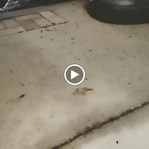 Coffee Shop «Common Grounds Coffee Shop», reviews and photos, 104 Bond St # A, Clewiston, FL 33440, USA