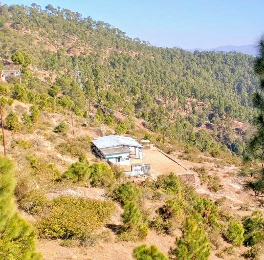 Primary school Falseema