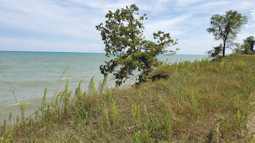 Nature Preserve «Kenosha Sand Dunes», reviews and photos, 7th Ave, Pleasant Prairie, WI 53158, USA
