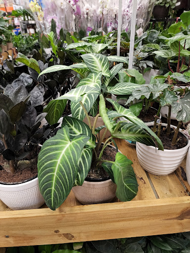 Home Improvement Store «The Home Depot», reviews and photos, 280 N Main St, Rochester, NH 03867, USA