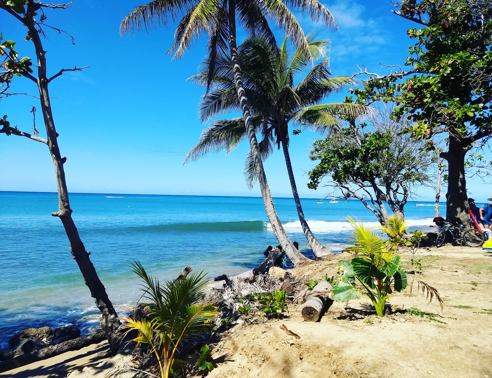 Foto de Playa Maria com alto nível de limpeza