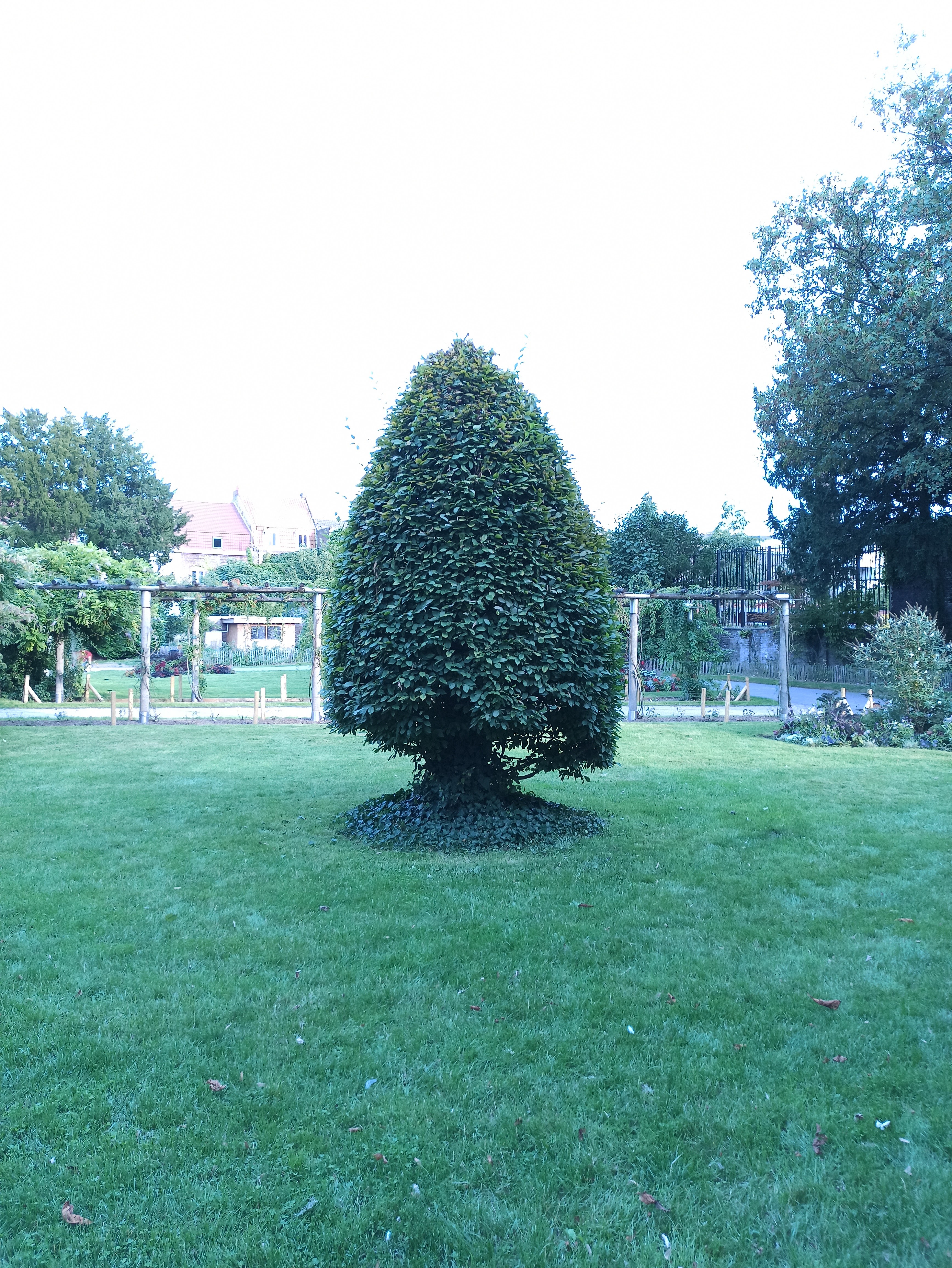 Photo n° 4 de l'avis de Bylka.t fait le 15/09/2020 à 18:50