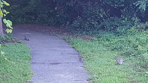 Park «Cypress Wetlands», reviews and photos, 1700 Paris Ave, Port Royal, SC 29935, USA