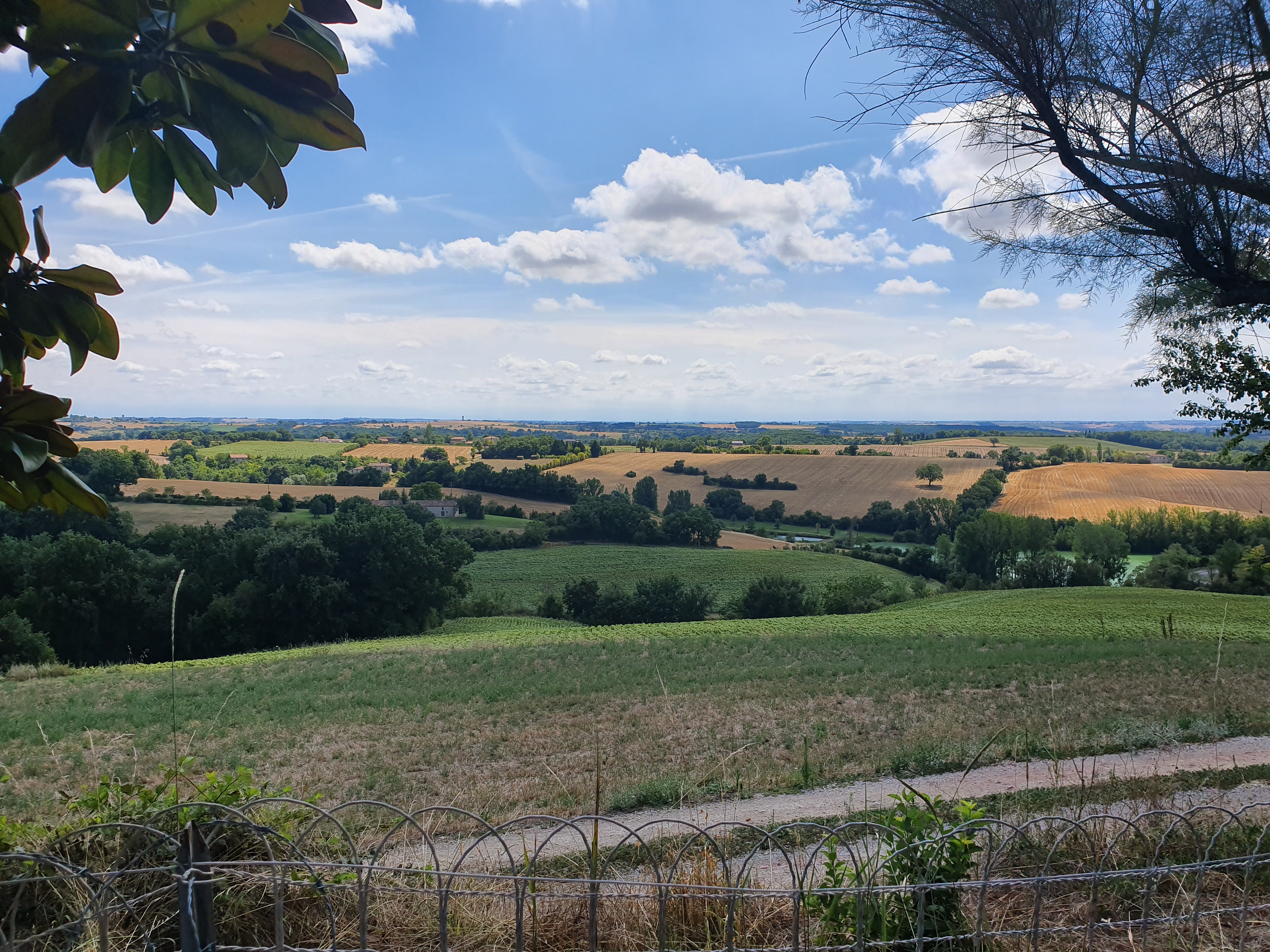 Photo n° 1 de l'avis de Olivier. fait le 07/08/2019 à 20:18