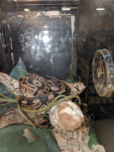 Pet Supply Store «PetSmart», reviews and photos, 1421 Carl D Silver Parkway, Fredericksburg, VA 22401, USA