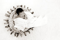 Photo Element Studio - Photo 2 - Car repair in Arvada, CO, Arvada