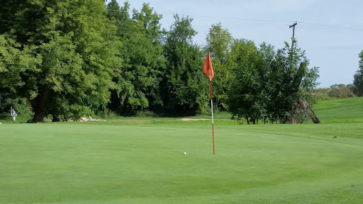 Golf Course «Pine Hills Golf Course», reviews and photos, 6603 Woodbury Rd, Laingsburg, MI 48848, USA