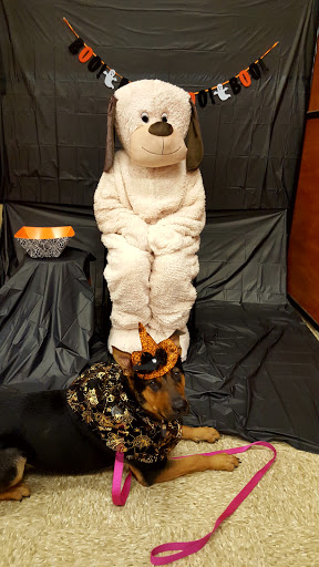 Pet Supply Store «PetSmart», reviews and photos, 2534 South Rd, Poughkeepsie, NY 12601, USA