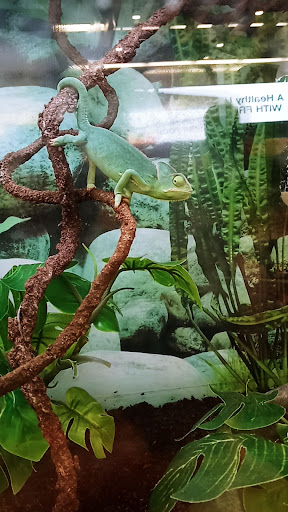 Pet Supply Store «Petco Animal Supplies», reviews and photos, 1255 Raritan Rd #140, Clark, NJ 07066, USA