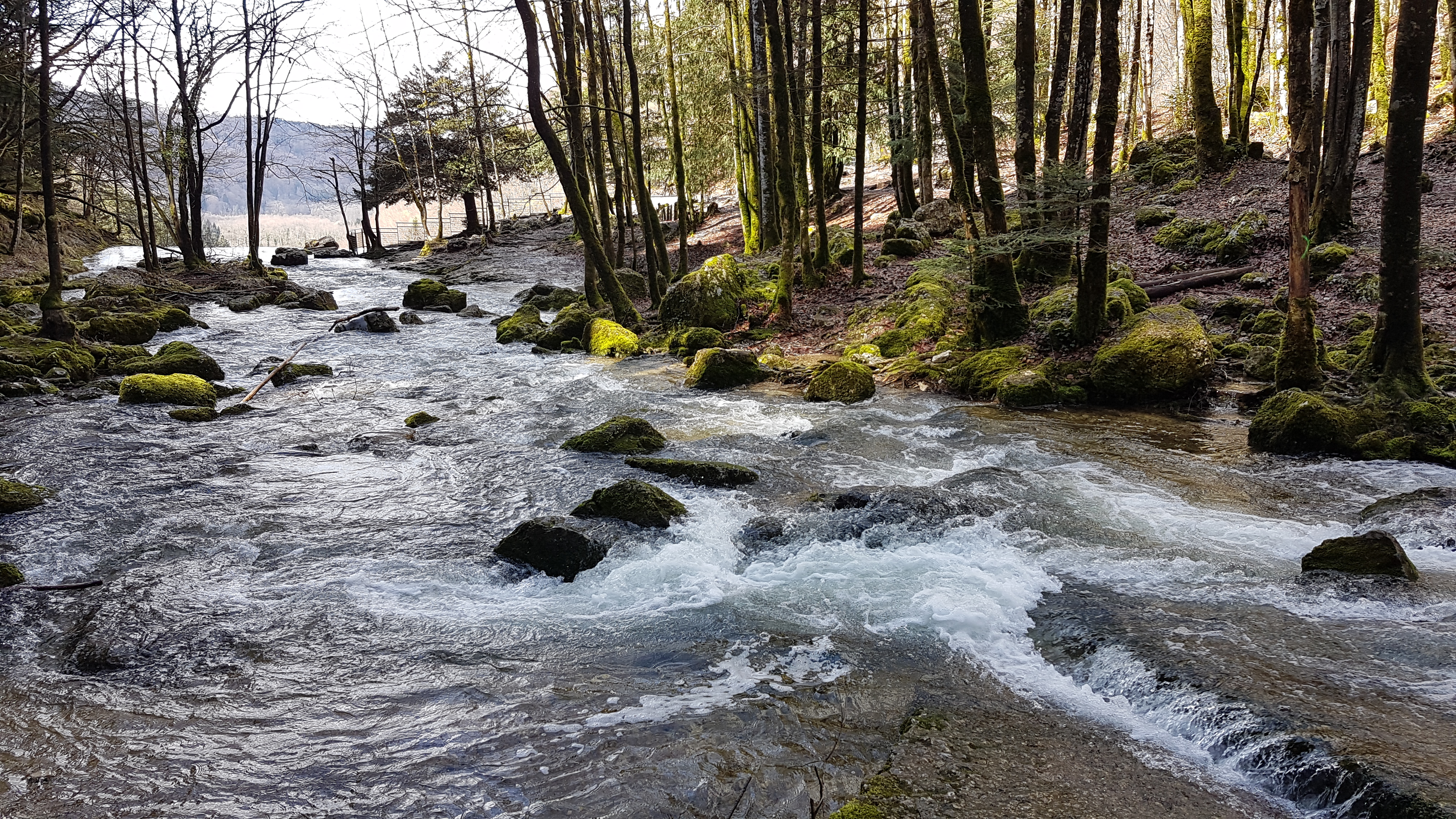 Photo n° 4 de l'avis de jean-louis.a fait le 04/04/2023 à 19:10