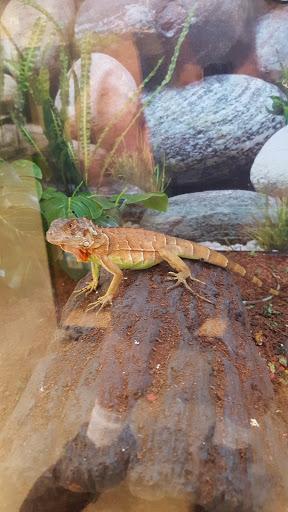 Pet Supply Store «Petco Animal Supplies», reviews and photos, 12611 Jefferson Davis Hwy, Chester, VA 23831, USA