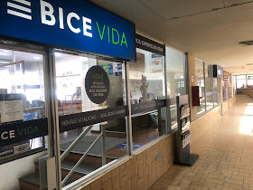 BICE VIDA Punta Arenas