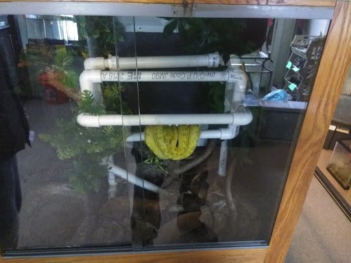 Tropical Fish Store «Harris In Wonderland», reviews and photos, 12 W Main St, Avon, CT 06001, USA