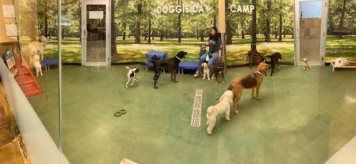 Pet Supply Store «PetSmart», reviews and photos, 2221 Oakton St, Evanston, IL 60202, USA