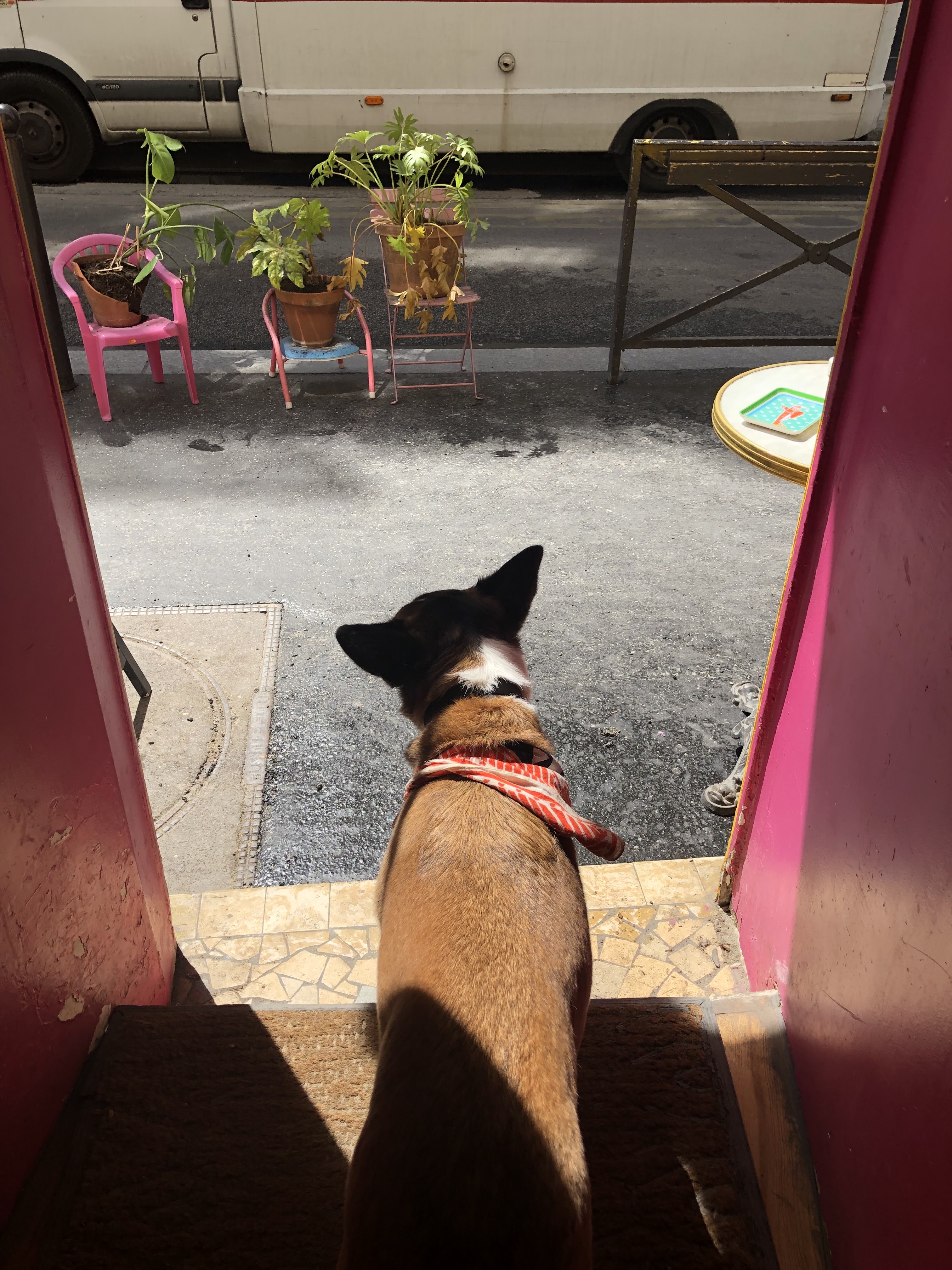 Photo n° 3 de l'avis de Sawako.a fait le 20/05/2022 à 16:45