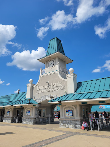 Water Park «Dorney Park & Wildwater Kingdom», reviews and photos, 3830 Dorney Park Rd, Allentown, PA 18104, USA