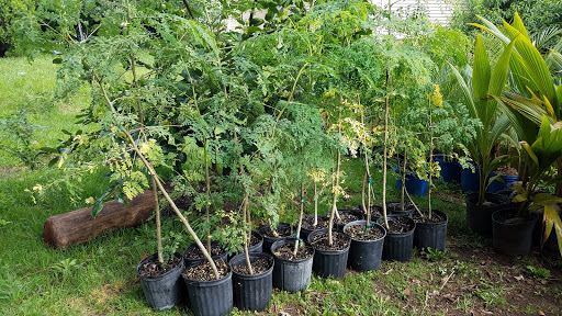 Grocery Store «Carniceria La Superior», reviews and photos, 2975 Gillsville Hwy, Gainesville, GA 30507, USA