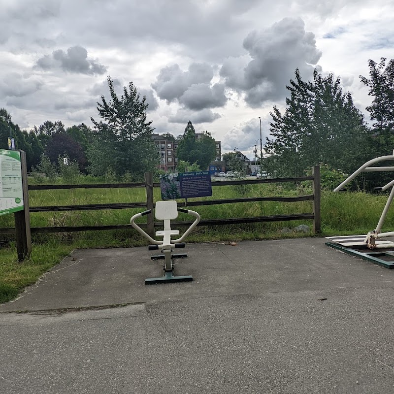 Outdoor Gym - Station 4