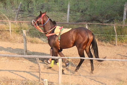 Cancha de carreras La Esperanza