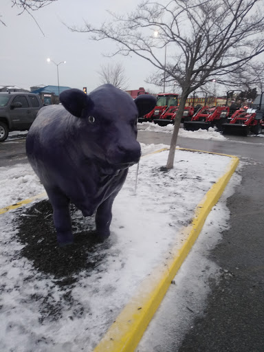 Department Store «Rural King», reviews and photos, 2960 E 10th St, Jeffersonville, IN 47130, USA