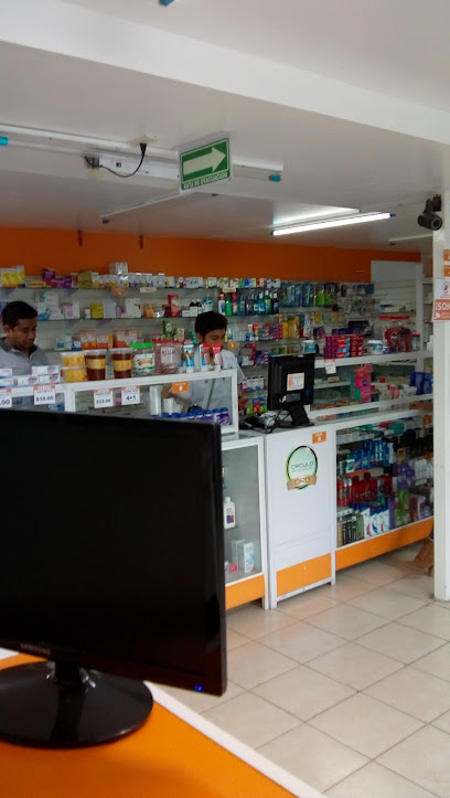 Farmacia De Apoyo La Sonrisa Más Cercana La Joya, 75730 Tehuacan, Puebla, Mexico