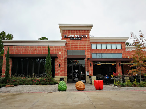 9000 New Trails Dr, The Woodlands, TX 77381, USA