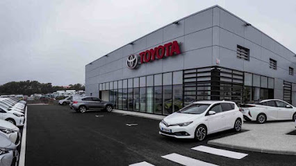 Business Store Toyota Professional Brest