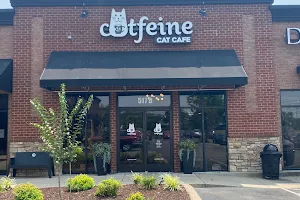 Catfeine Cat Cafe image