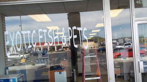 Pet Store «Exotic Fish & Pets», reviews and photos, 3272 N 5th Street Hwy, Reading, PA 19605, USA