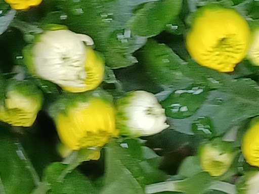 Park «Paulus Park», reviews and photos, 200 S Rand Rd, Lake Zurich, IL 60047, USA