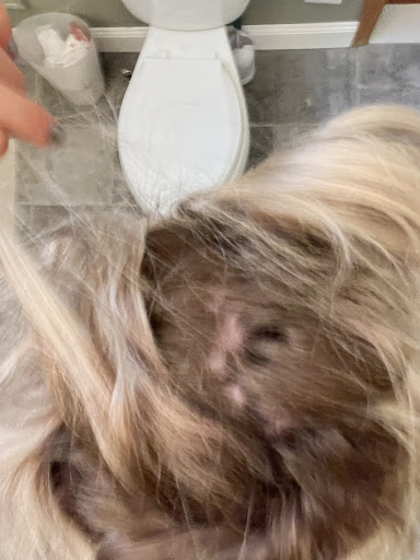 Beauty Salon «Salon Riza & Day Spa», reviews and photos, 1003 Osgood St, North Andover, MA 01845, USA