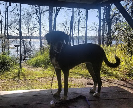 Park «Lake Rogers Park», reviews and photos, 9010 N Mobley Rd, Odessa, FL 33556, USA