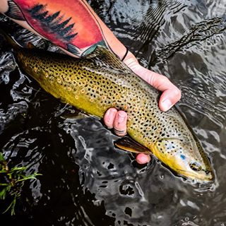 Fishing Charter «Fly Fishing Outfitters», reviews and photos, 1060 W Beaver Creek Blvd, Avon, CO 81620, USA