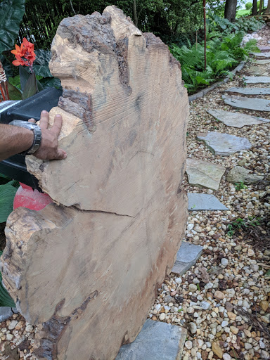 Tourist Attraction «Elephant Trails», reviews and photos, 3001 Connecticut Ave NW, Washington, DC 20008, USA