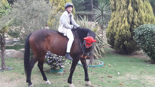 Horse riding lessons Johannesburg