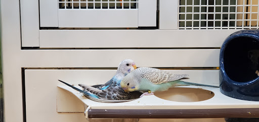 Pet Supply Store «PetSmart», reviews and photos, 17585 Southcenter Pkwy, Tukwila, WA 98188, USA