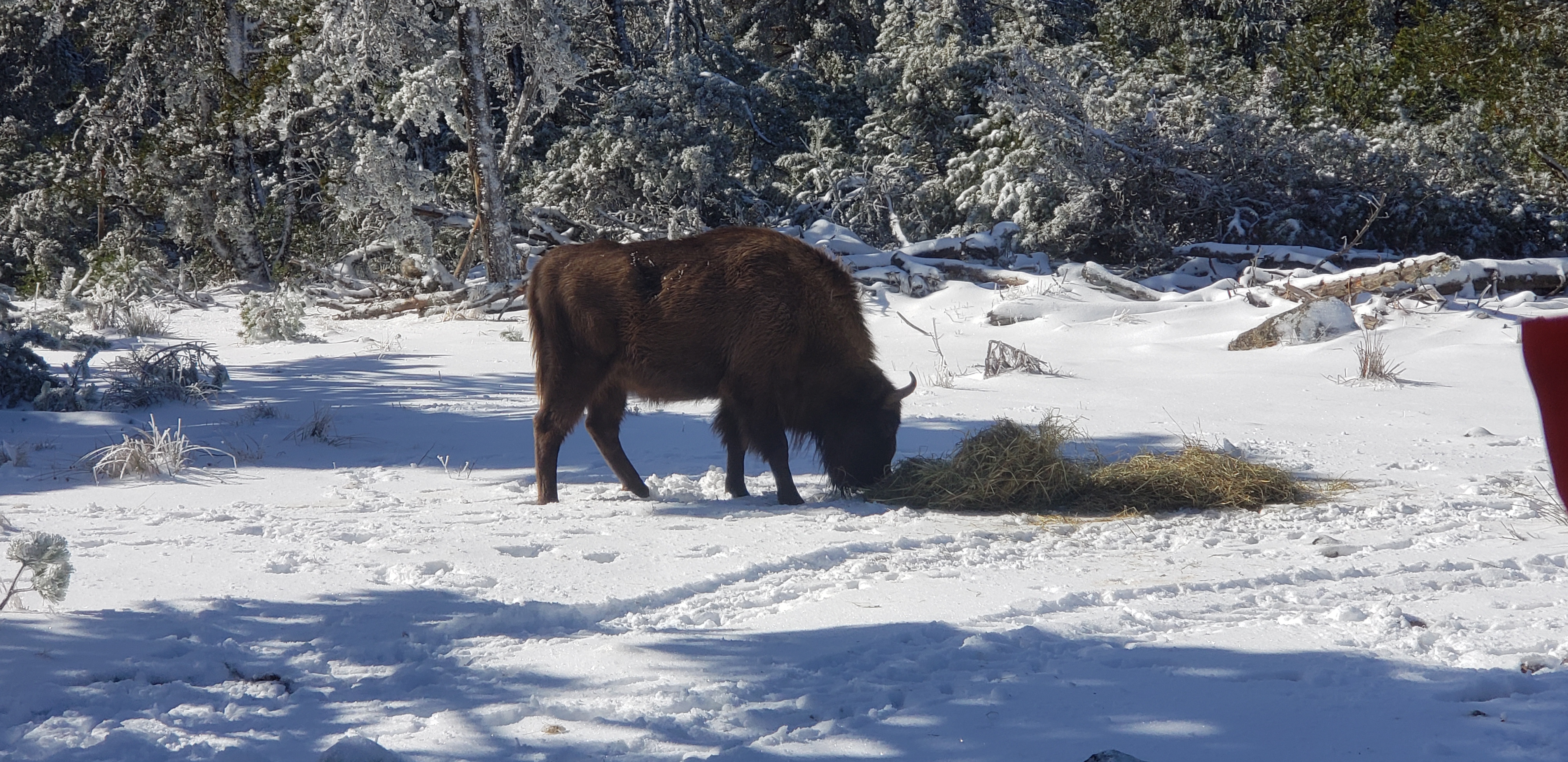 Photo n° 1 de l'avis de chantal.o fait le 02/03/2024 à 13:32