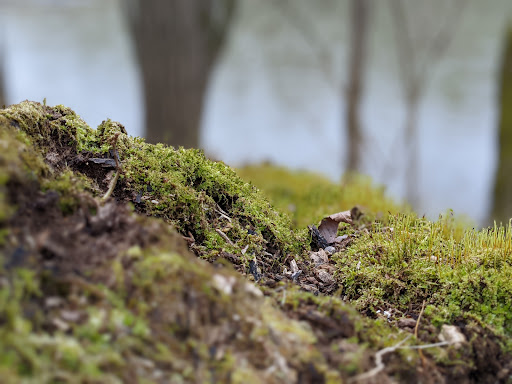 Nature Preserve «Kelley Nature Preserve», reviews and photos, 297 OH-126, Loveland, OH 45140, USA