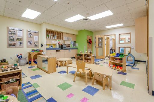 Preschool «Bright Horizons at Tampa Palms», reviews and photos, 5171 Cypress Preserve Dr, Tampa, FL 33647, USA