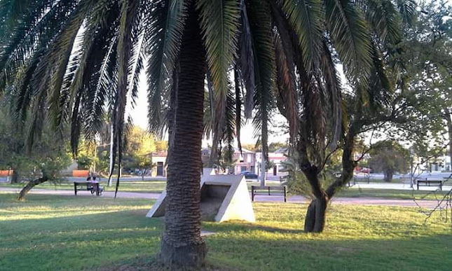 Plaza Zorrilla de San Martín - Gimnasio