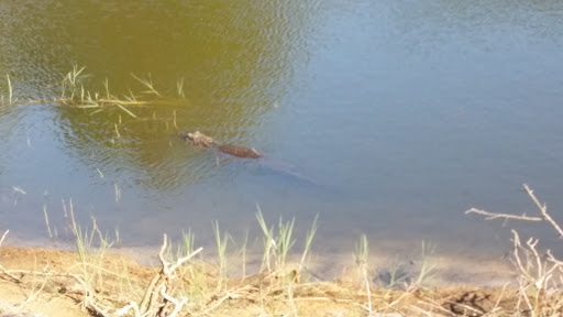 Golf Club «Stoneybrook Golf Club», reviews and photos, 21251 Stoneybrook Golf Blvd, Estero, FL 33928, USA