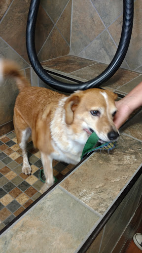 Pet Supply Store «Pet Valu», reviews and photos, 3437 Center Rd, Brunswick, OH 44212, USA