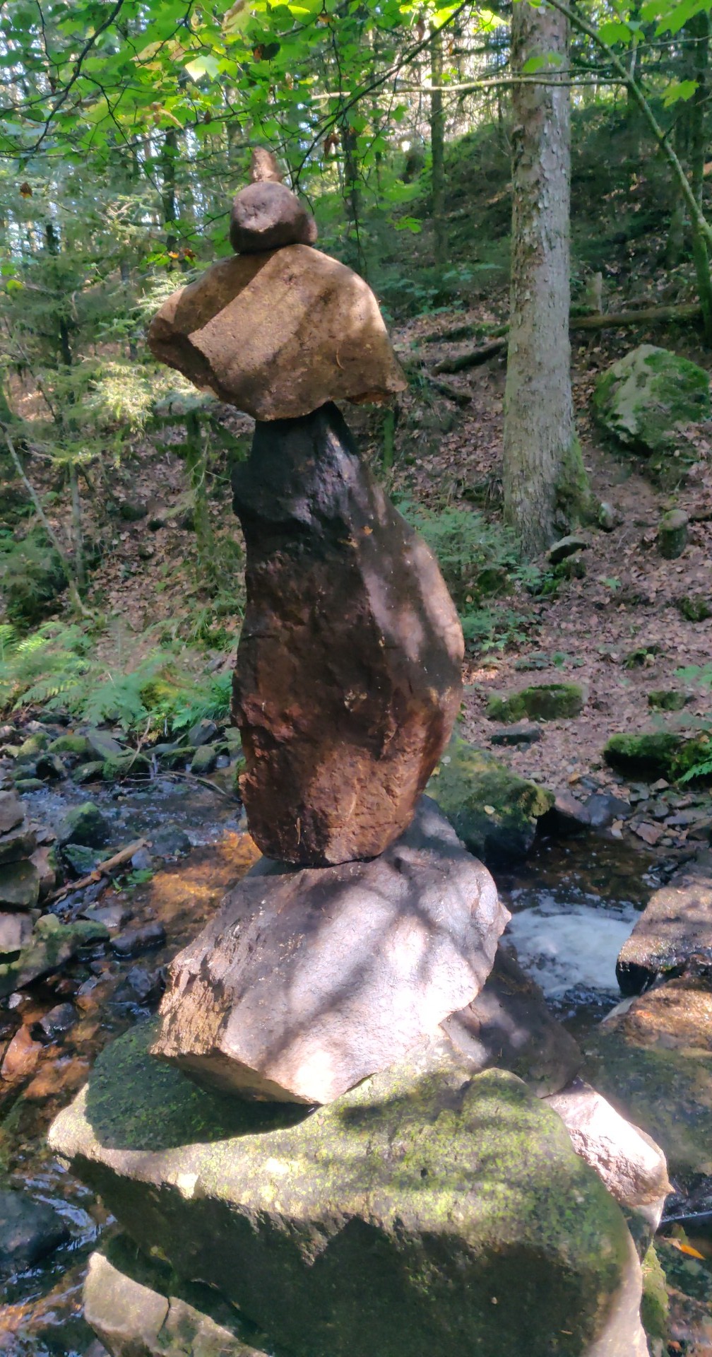 Photo n° 2 de l'avis de Laurence.a fait le 11/09/2023 à 11:01