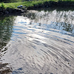 Photo n°1 de l'avis de S. fait le 18/05/2023 à 22:08 sur le  Gästehaus Falkenau à Frauenau