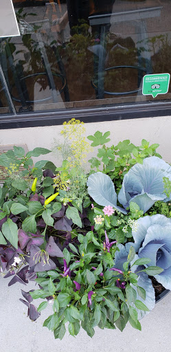 Appliance Store «P.C. Richard & Son», reviews and photos, 113-14 Queens Blvd, Forest Hills, NY 11375, USA