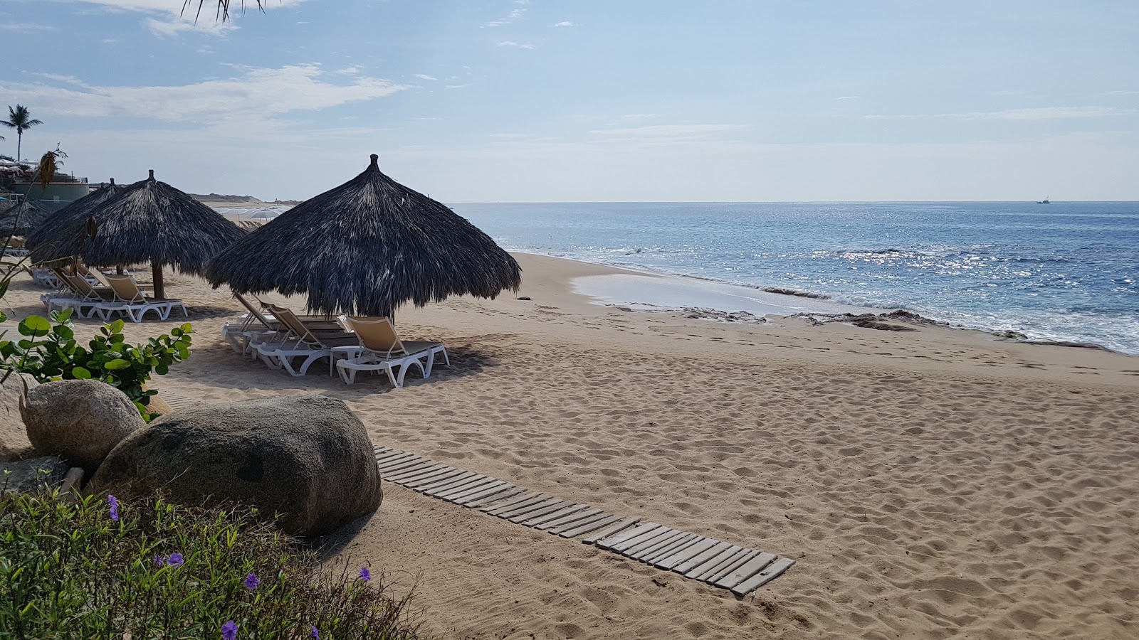 Playa Sheraton los Cabos'in fotoğrafı ve güzel manzarası