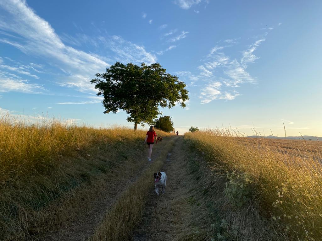 Photo n° 2 de l'avis de clément.a fait le 05/08/2023 à 20:59